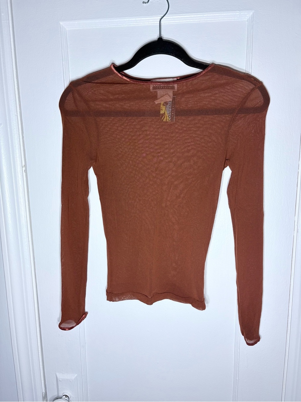 Vintage Contempo Mesh Long Sleeve Crew Neck Top in Rust